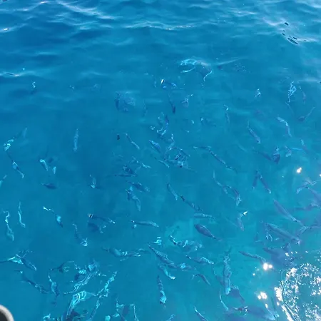 Casa Riviera Dei Fiori